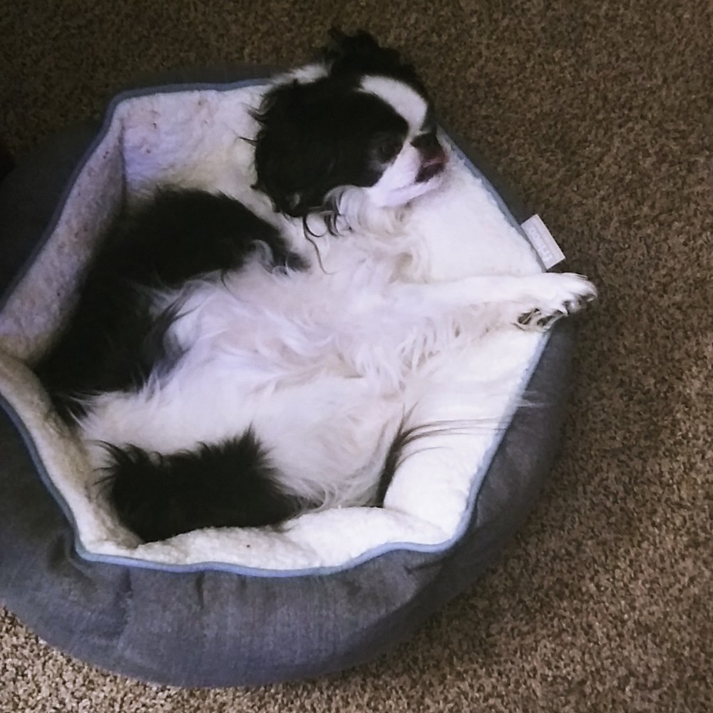 Meet your Posher, Kimberly